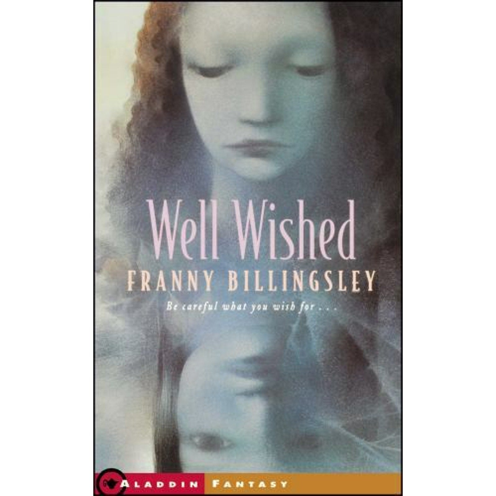 Well Wished by Franny Billingsley (2000, Trade Paperback)