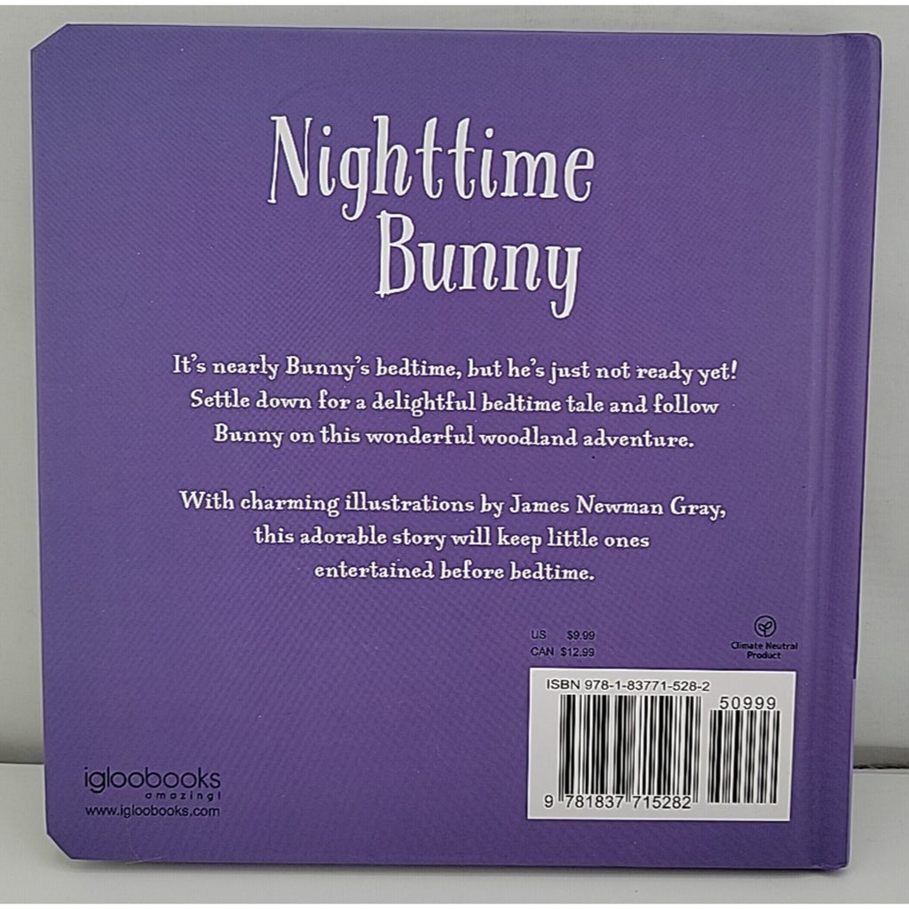 Nighttime Bunny: Padded Board Book by Melanie Joyce (Board book)