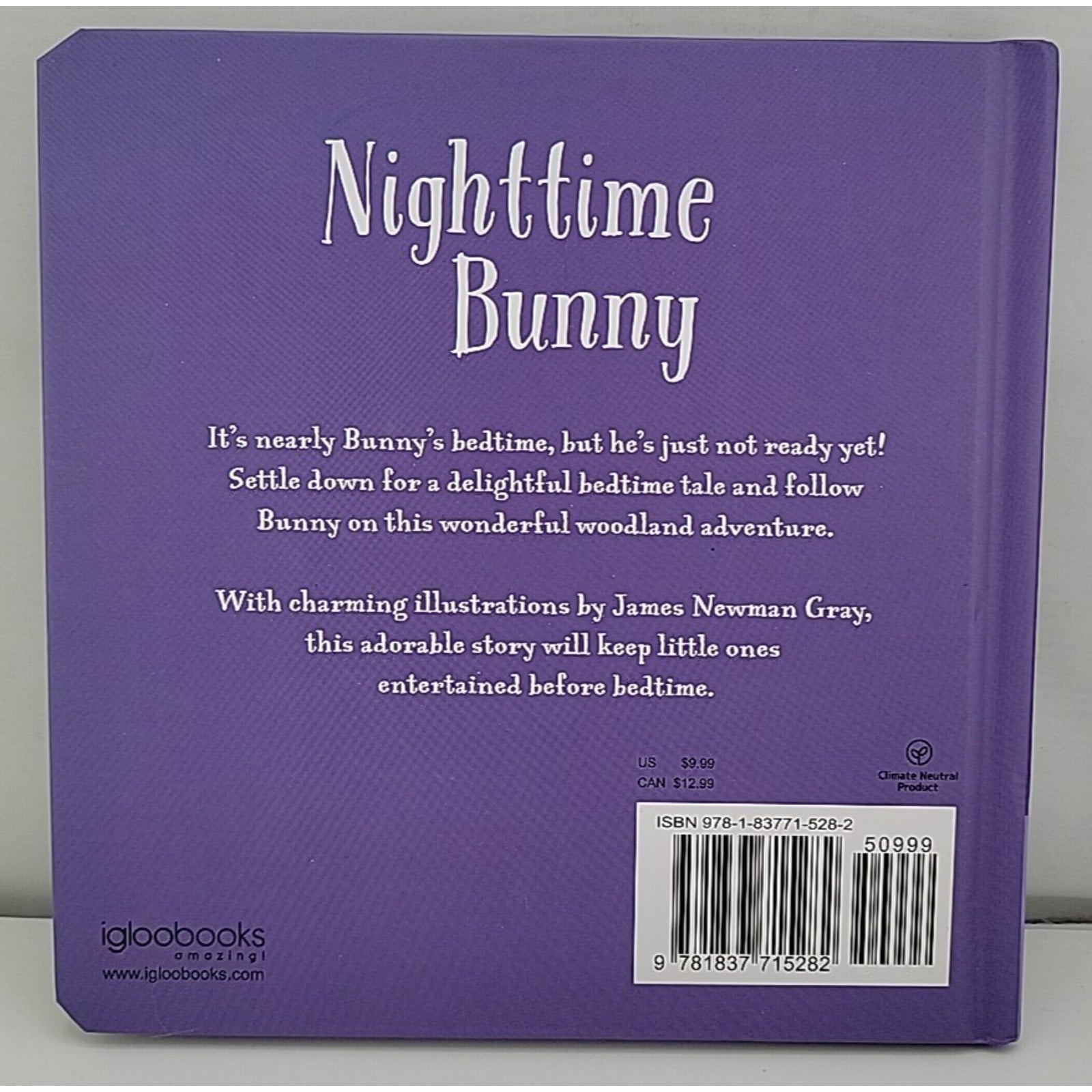 Nighttime Bunny: Padded Board Book by Melanie Joyce (Board book)