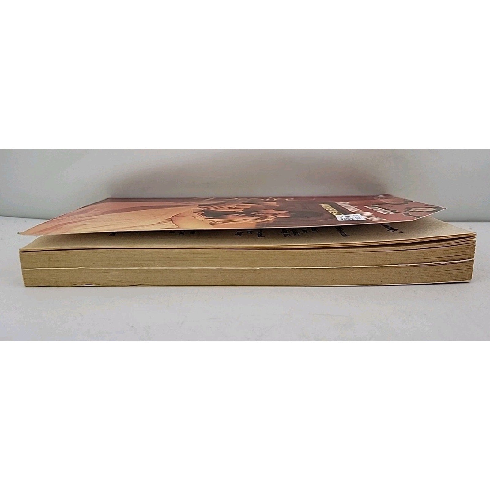 Lonetree Ranchers : Morgan by Kathie DeNosky (2003, Mass Market)