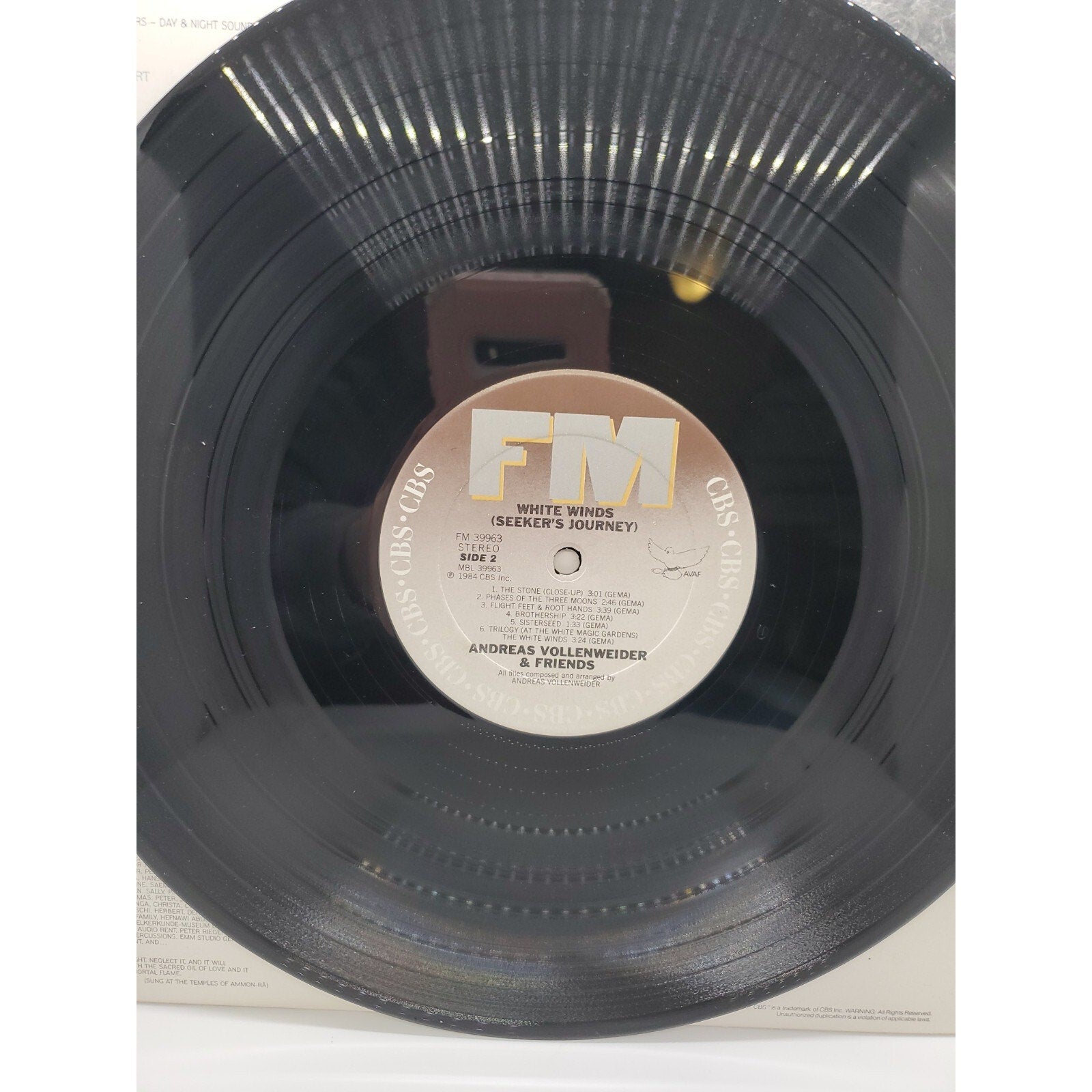 Andreas Vollenweider - White Winds (Record)