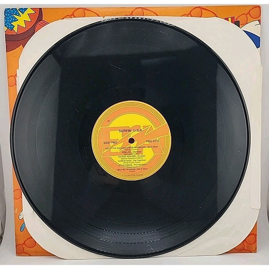 Surfin USA Vinyl Record