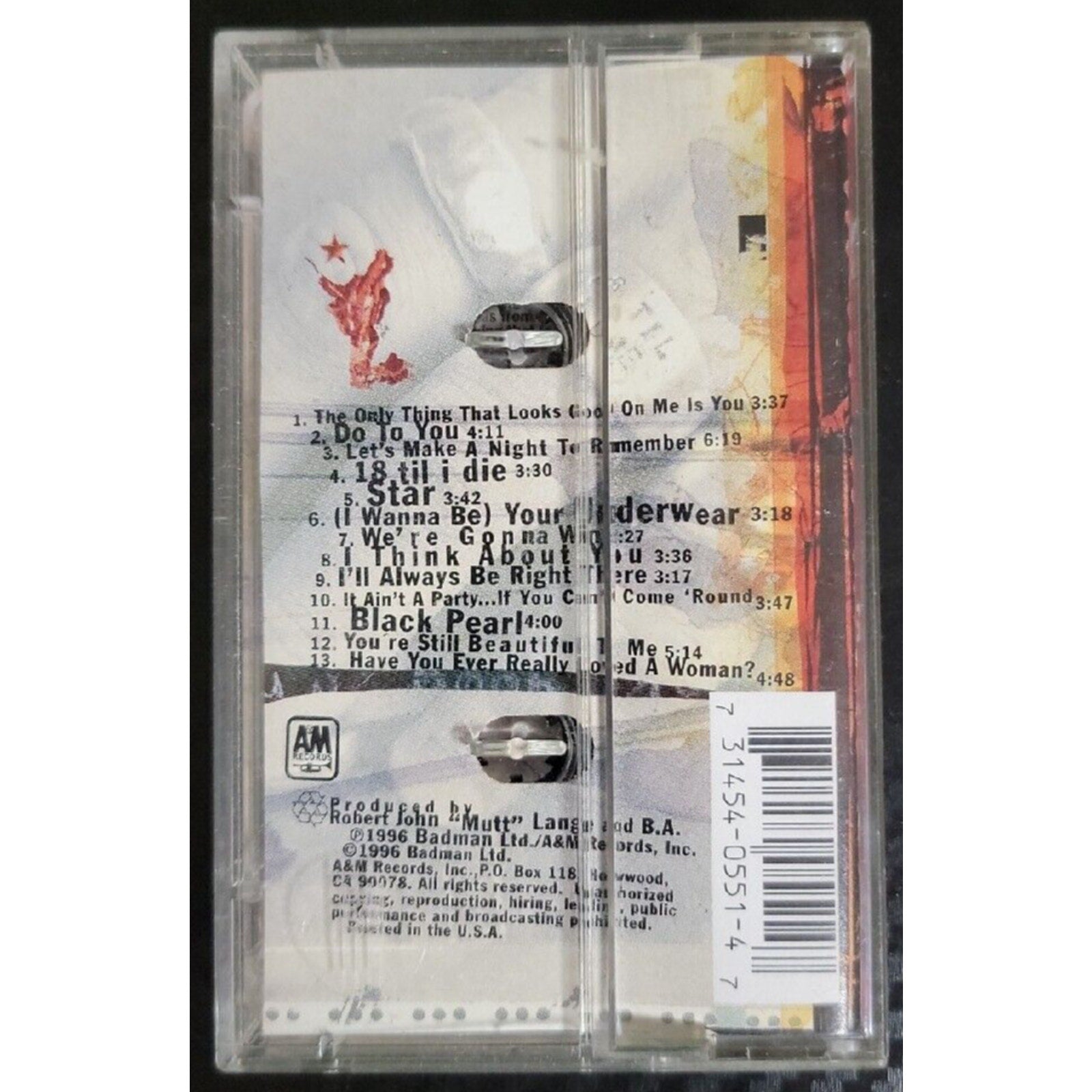 18 Til I Die by Bryan Adams (Cassette, Album, Jun-1996, A&M Records)