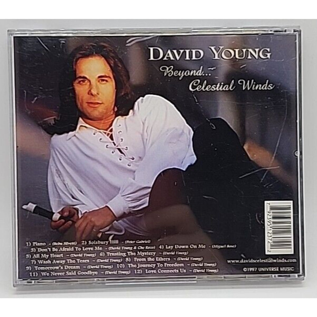 Beyond Celestial Winds by David Young (CD, 2004)
