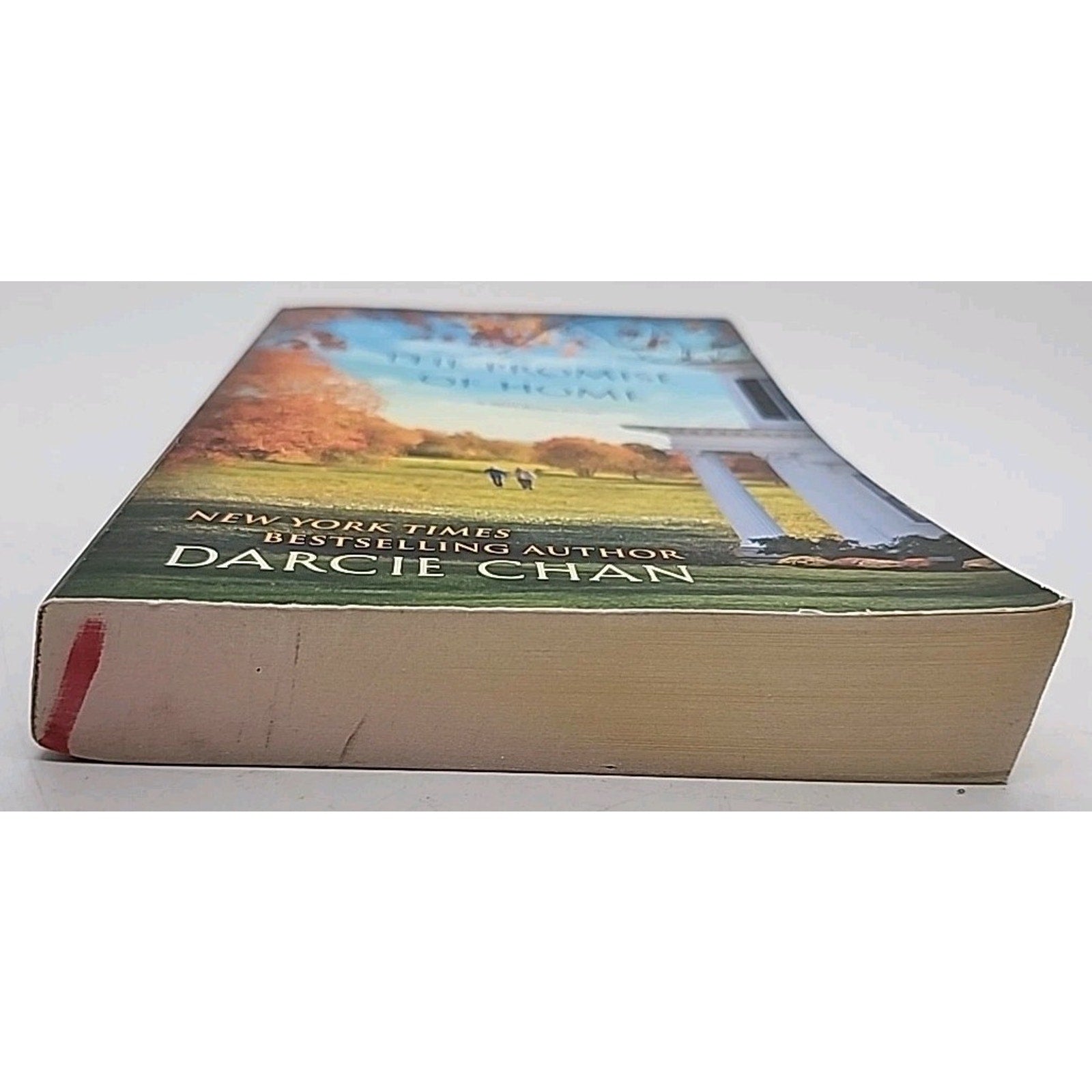 Promise of Home : A Mill River Novel by Darcie Chan (2015, Trade Paperback)