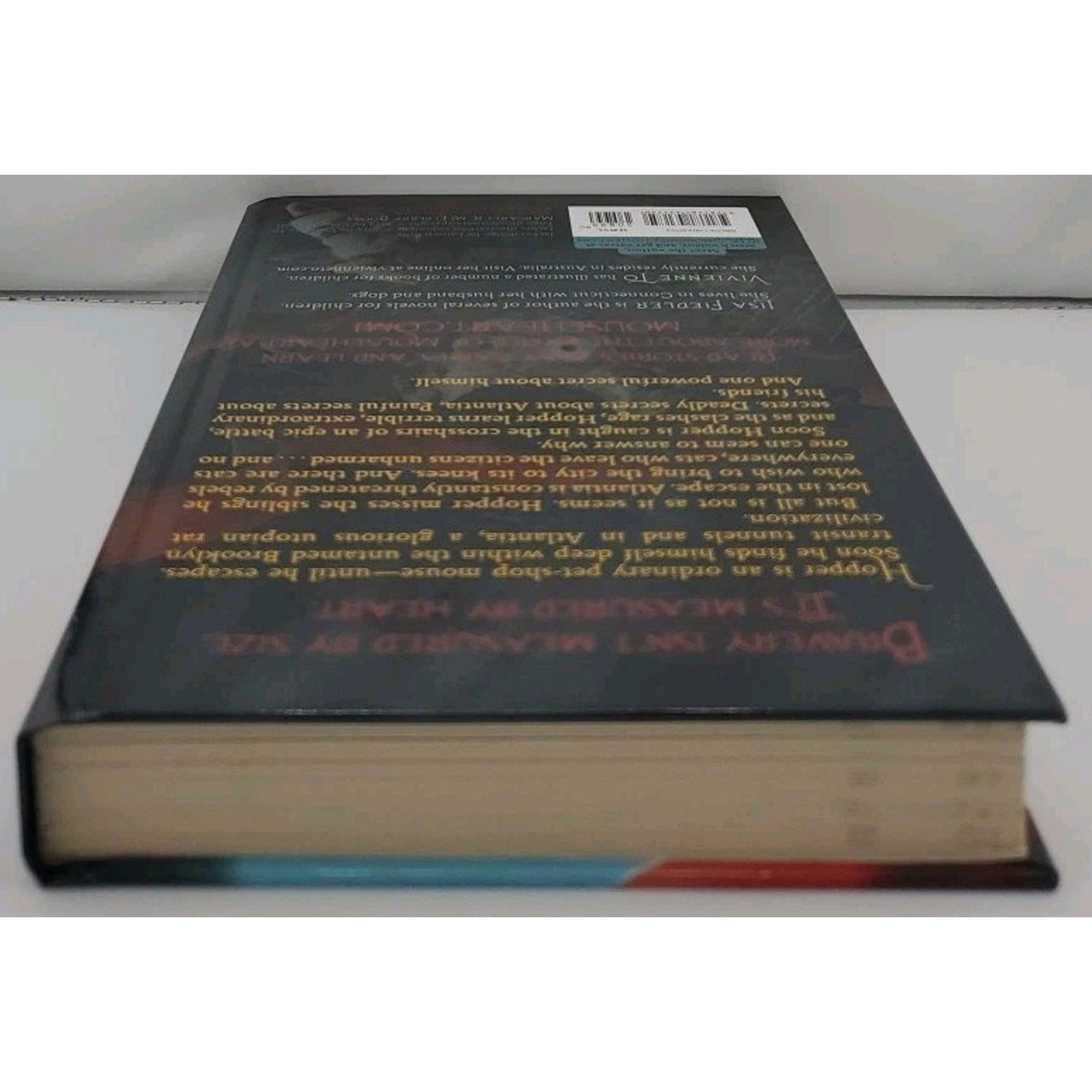 Mouseheart - Hardcover By Lisa Fiedler