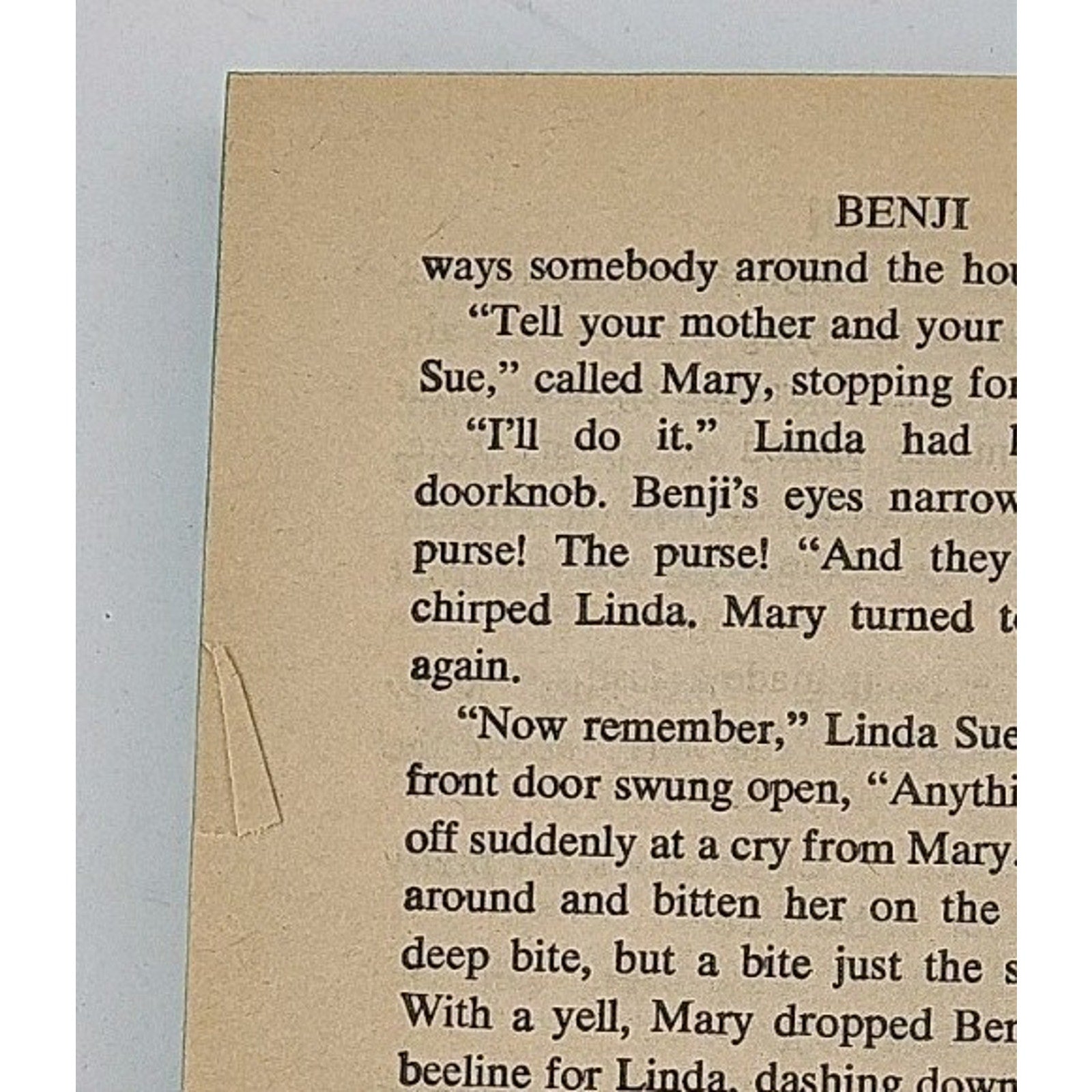 Benji by Joe Camp and Alison Thomas (Mass Market)