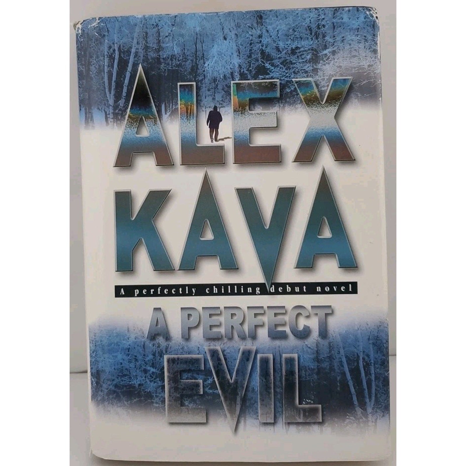 Perfect Evil by Alex Kava (2000, Hardcover)