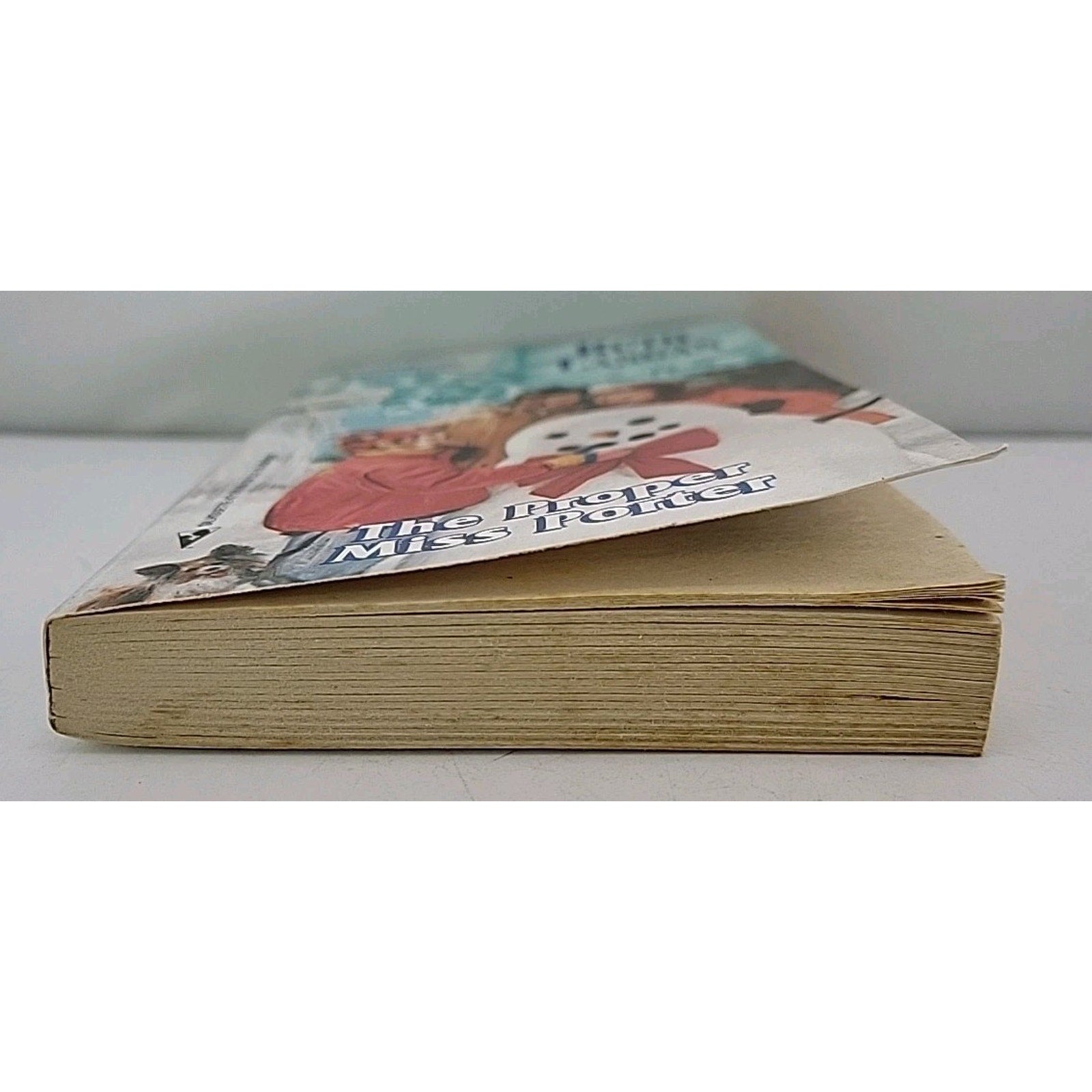 The Proper Miss Porter Born in The USA Michigan Ruth Langan Silhouette Paperback