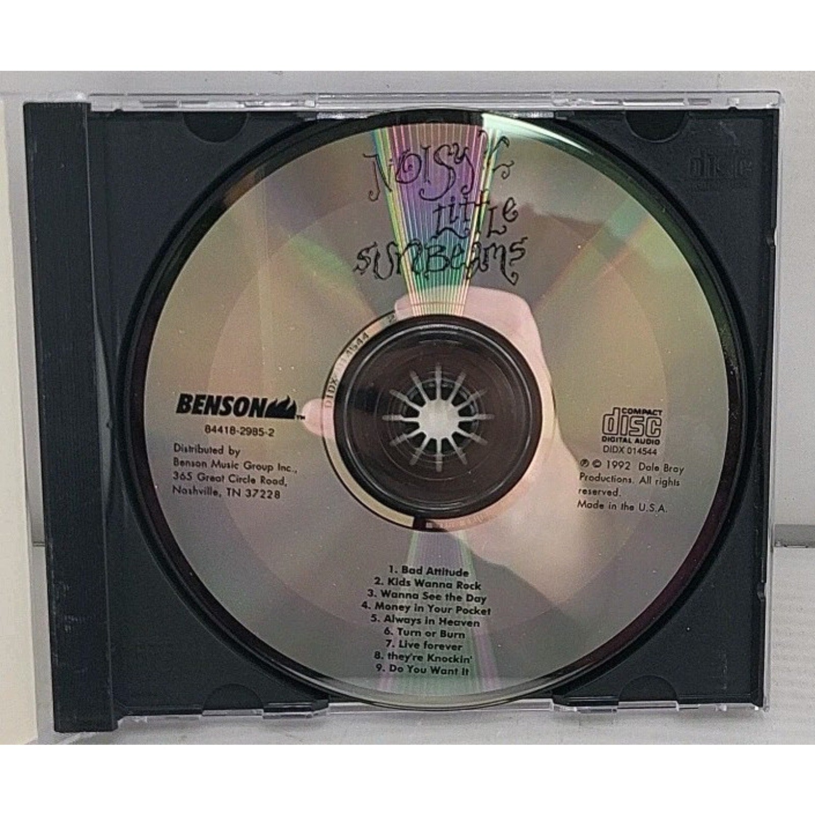 Noisy Little Sunbeams (CD)