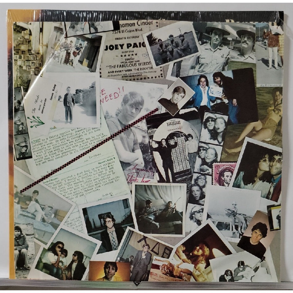 Red Cab to Manhattan [LP] by Stephen Bishop (Vinyl, Wounded Bird Records)
