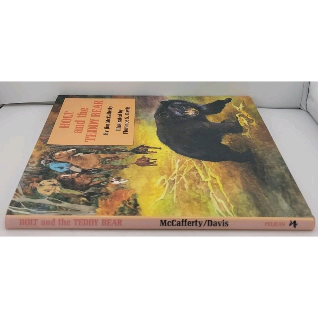 Holt and the Teddy Bear by Jim McCafferty Hardcover