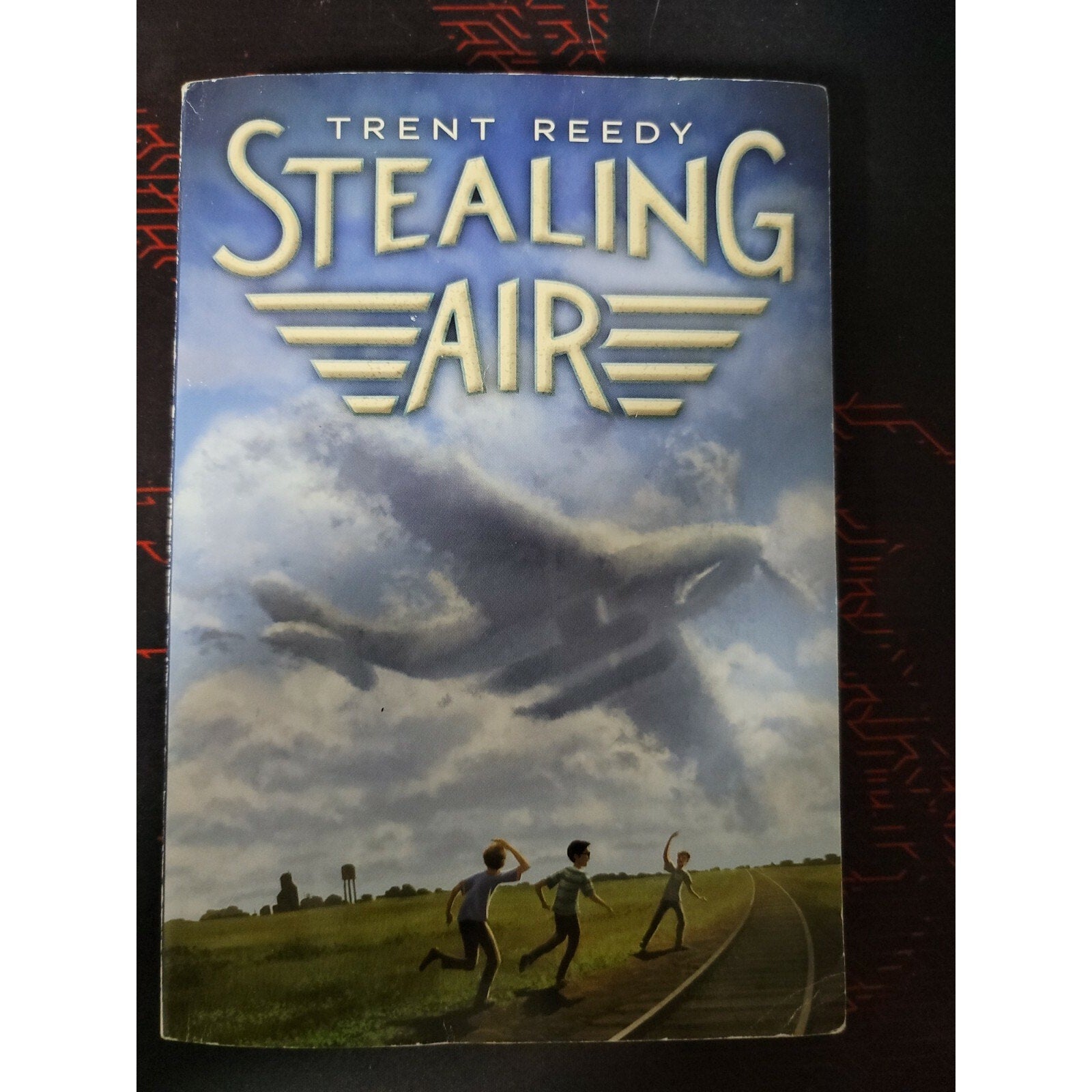 Stealing Air by Trent Reedy (Scholastic Paperback)