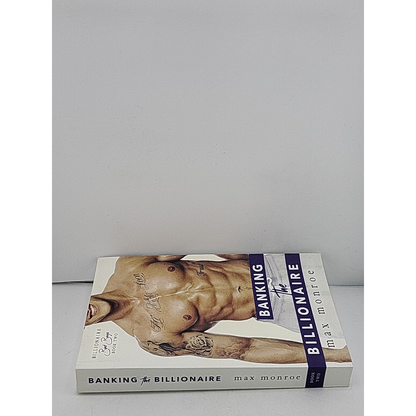 Banking the Billionaire by Max Monroe (2016, Trade Paperback)