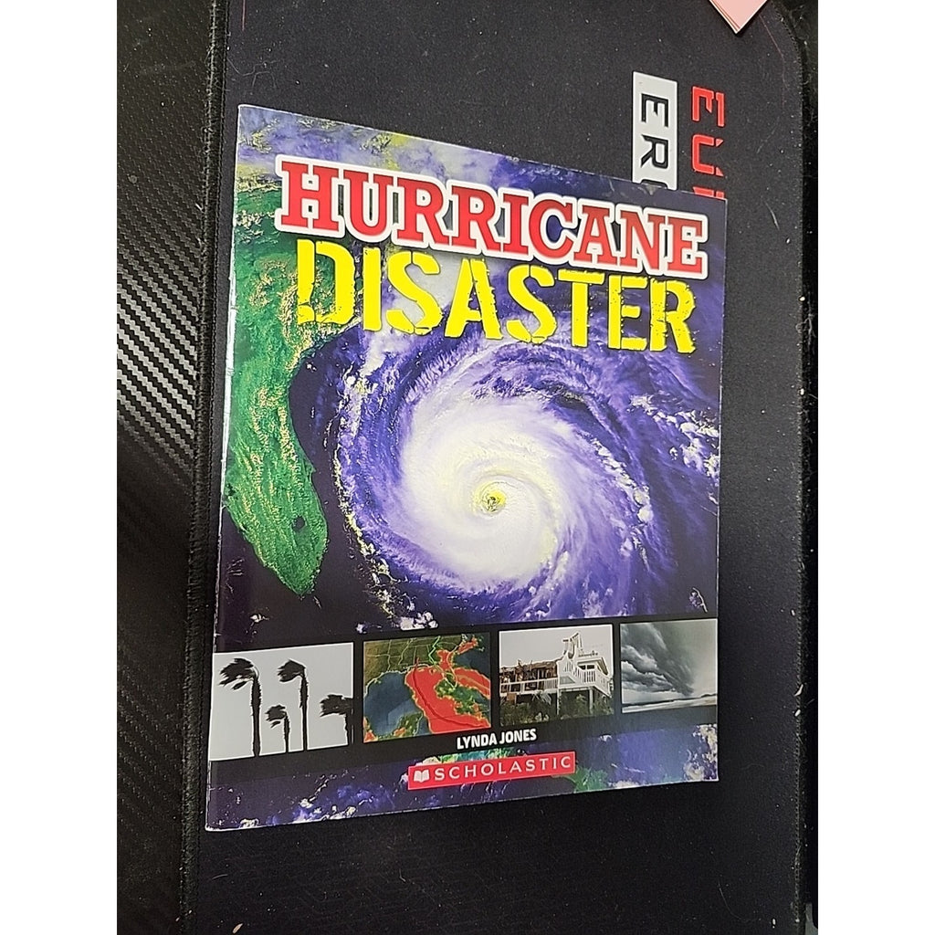 Hurricane Disaster by Lynda Jones