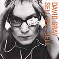 Sell, Sell, Sell by David Gray (CD, Sep-2000, Nettwerk)
