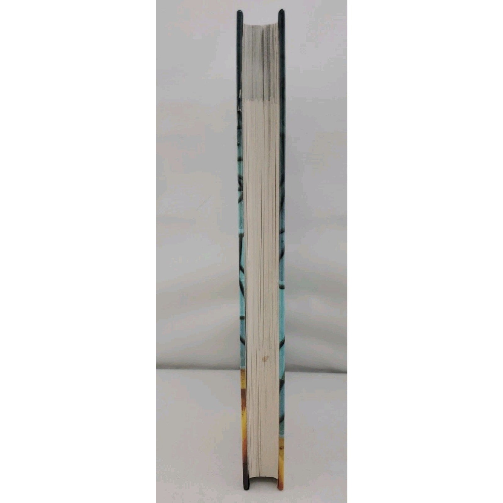 Among the Free Margaret Peterson Haddix (Hardcover)