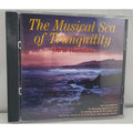 Musical Sea of Tranquility by Chris Valentino (CD, 2011)