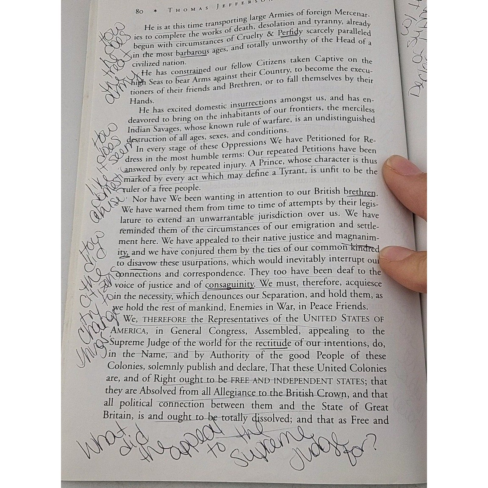 Seagull Reader : Essays by Joseph Kelly (2002, Trade Paperback)