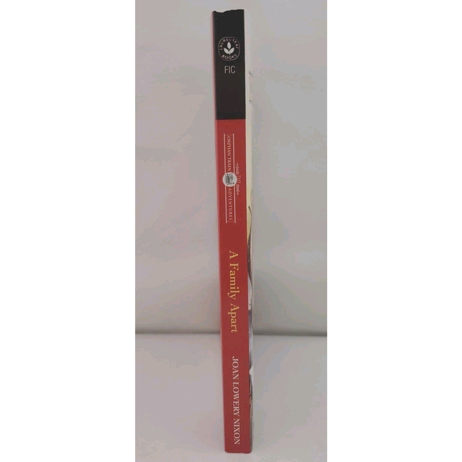 Family Apart by Joan Lowery Nixon (1995, Mass Market)