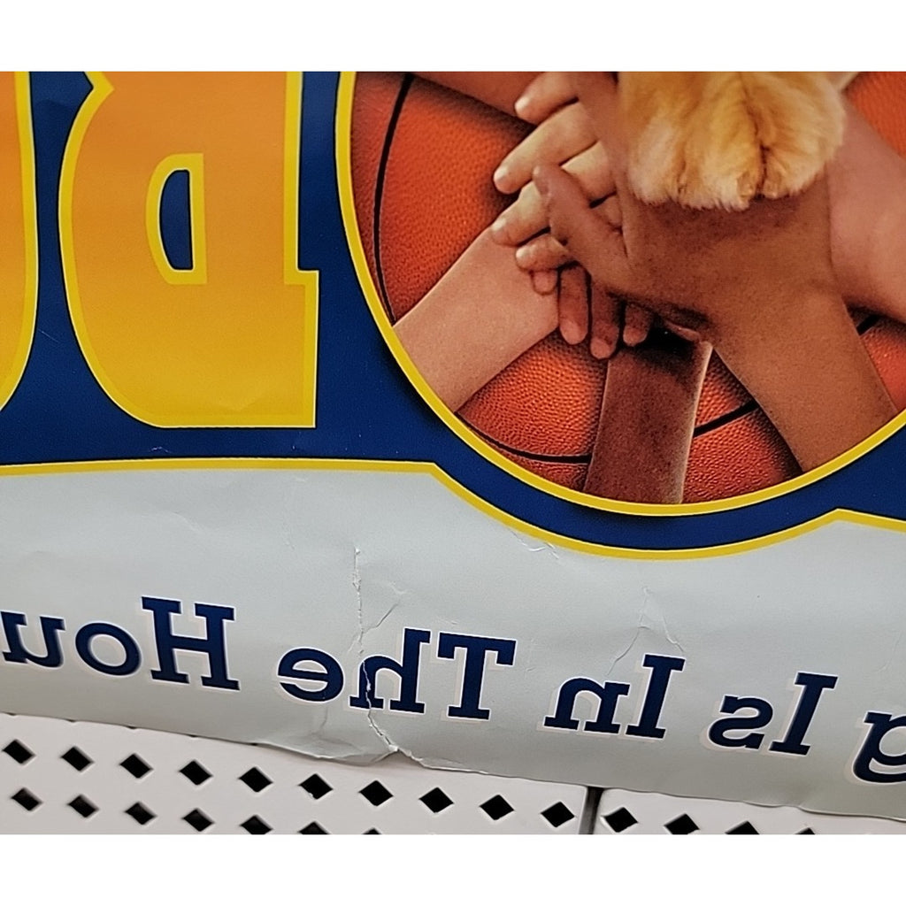 Double Sided Original Movie Posters ~ 27”x40” Air Bud