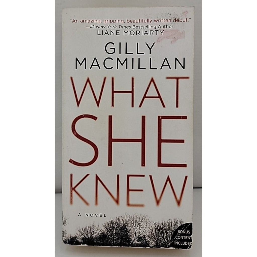 What She Knew : A Novel by Gilly Macmillan (2018, Mass Market)