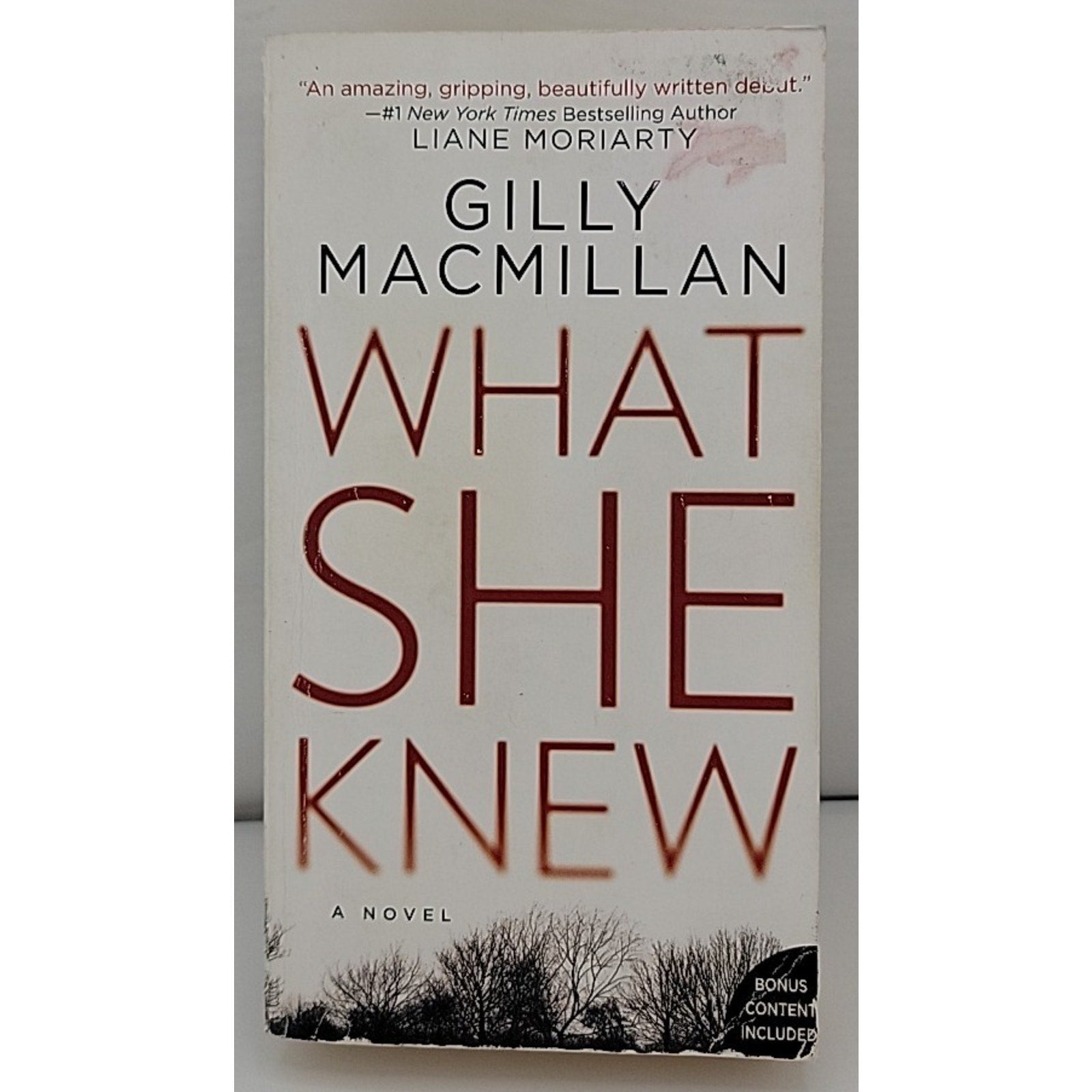 What She Knew : A Novel by Gilly Macmillan (2018, Mass Market)