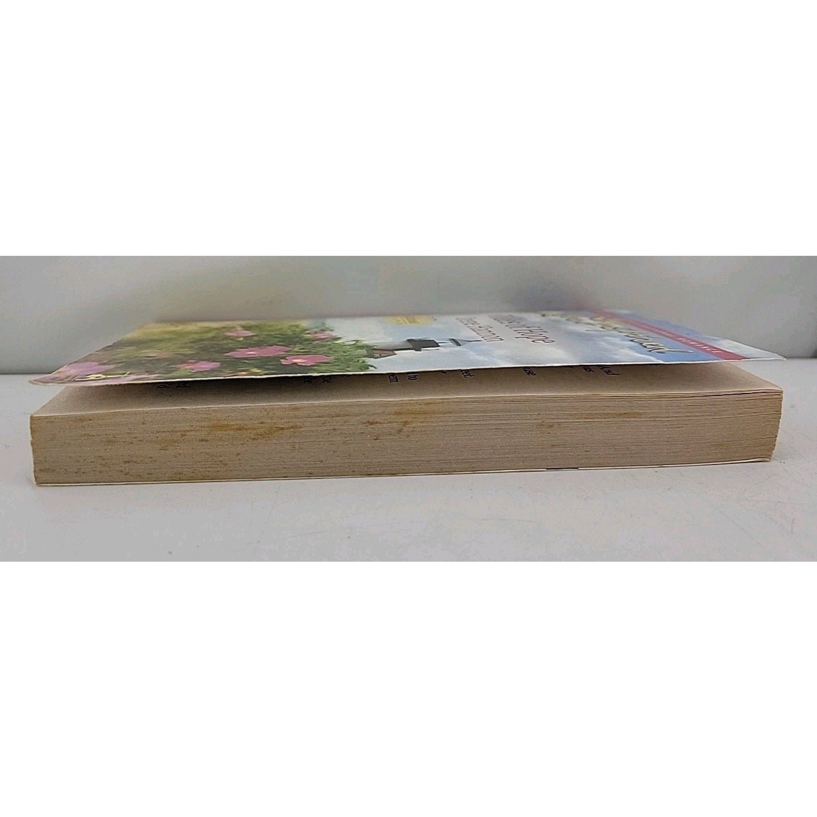 Tides of Hope by Irene Hannon (2009, Mass Market)