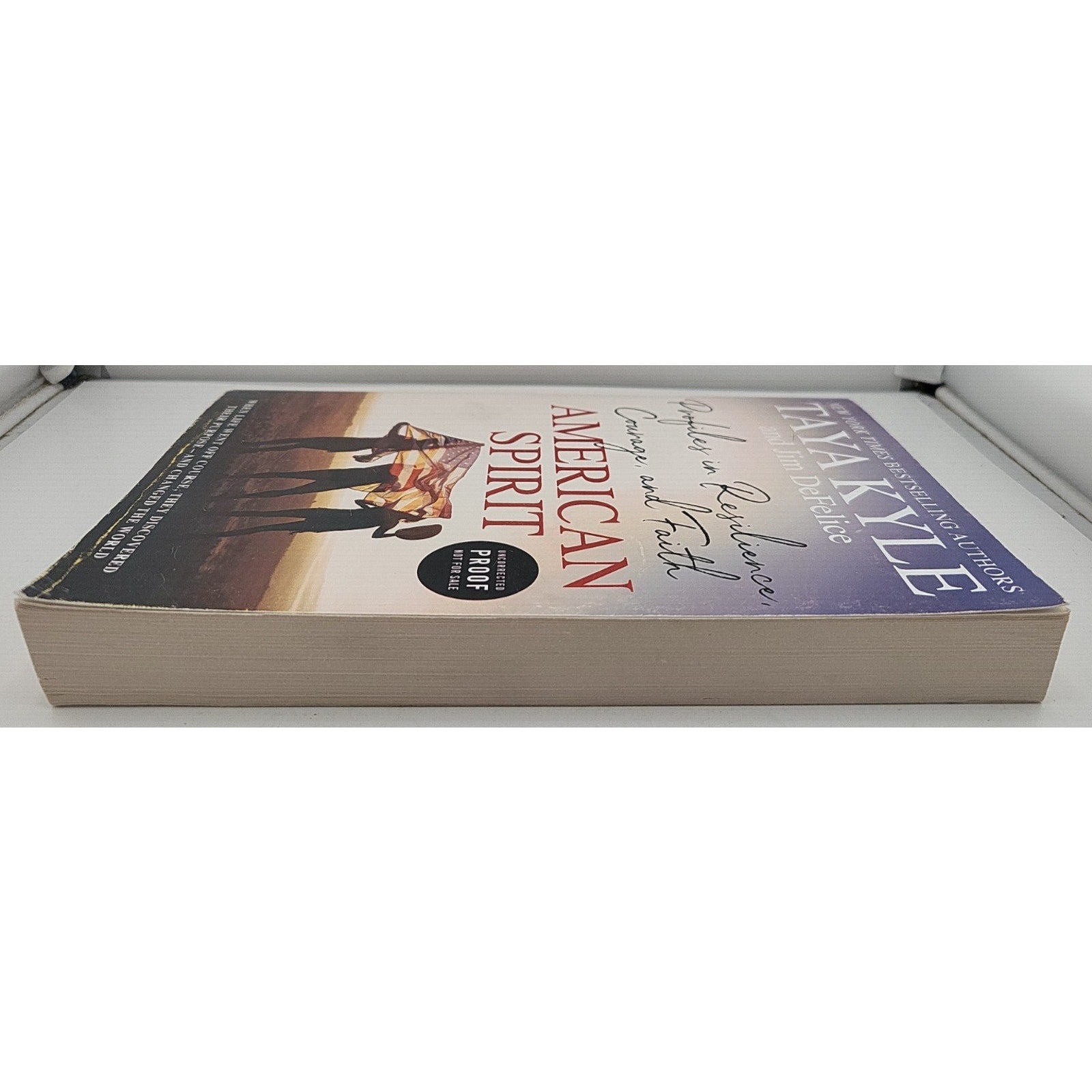 American Spirit-Profiles in Resilience Courage and Faith by Tanya Kyle Proof