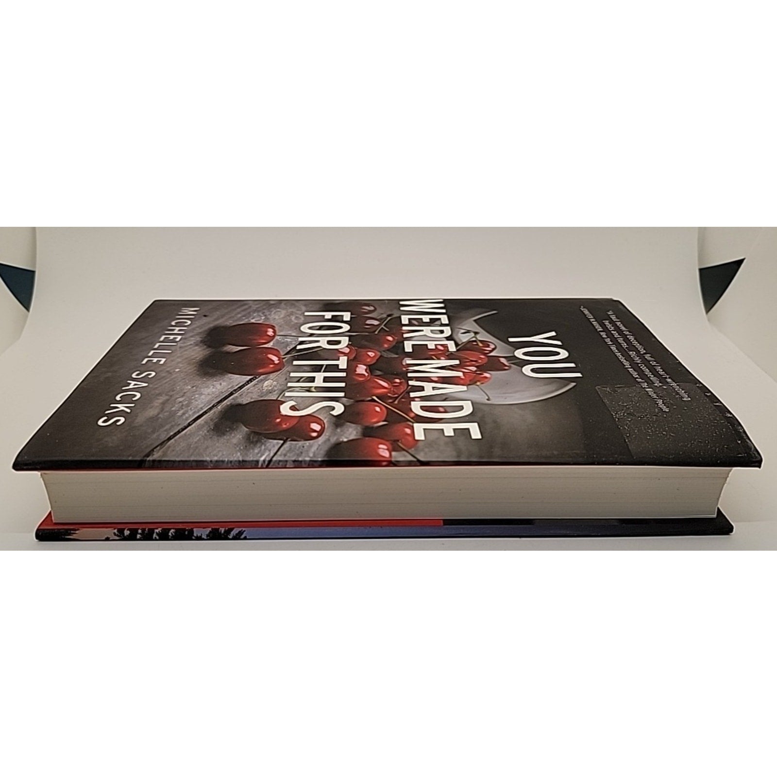 You Were Made for This by Michelle Sacks (2018, Hardcover)