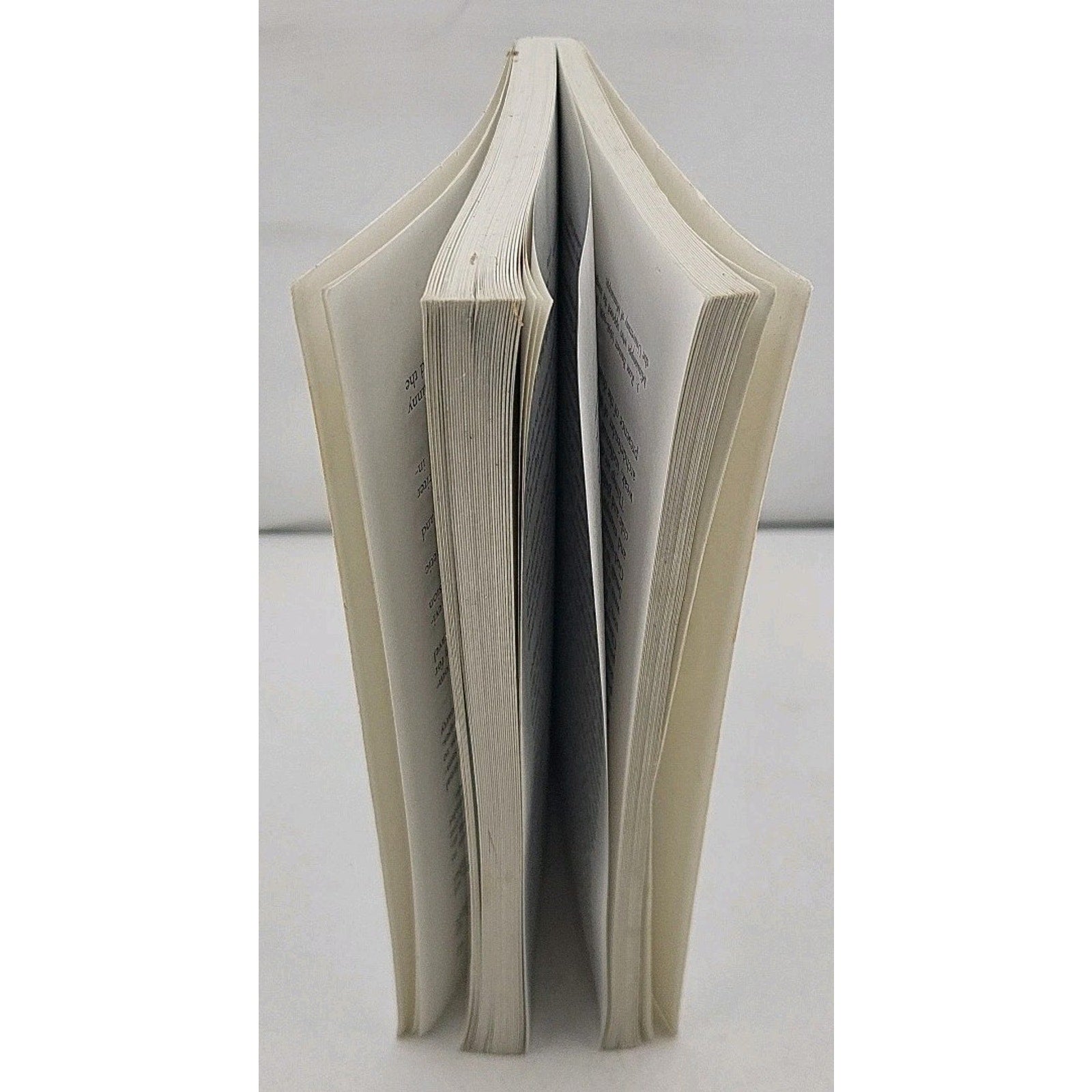 Seagull Reader : Essays by Joseph Kelly (2002, Trade Paperback)