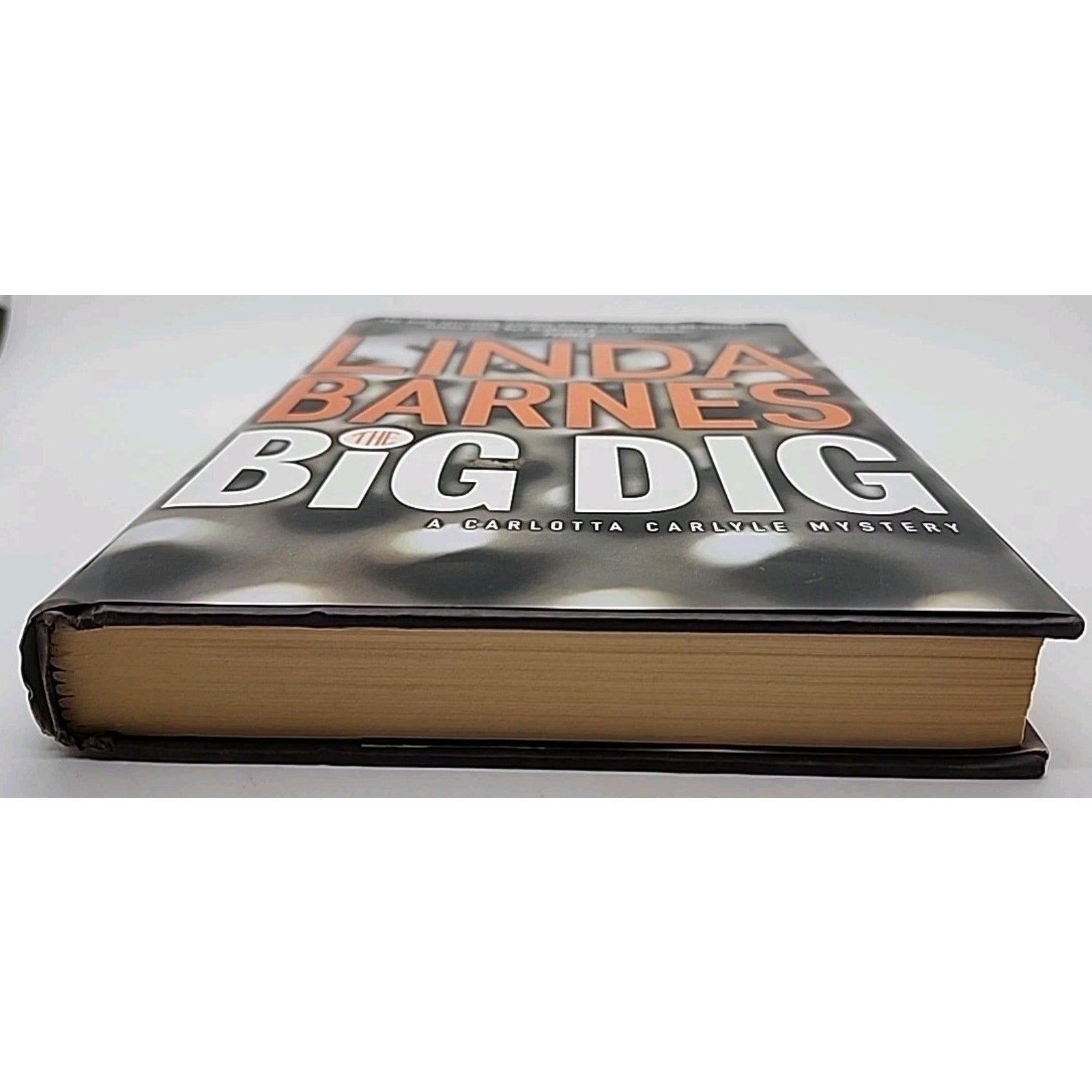 Big Dig by Linda Barnes (2002, Hardcover)