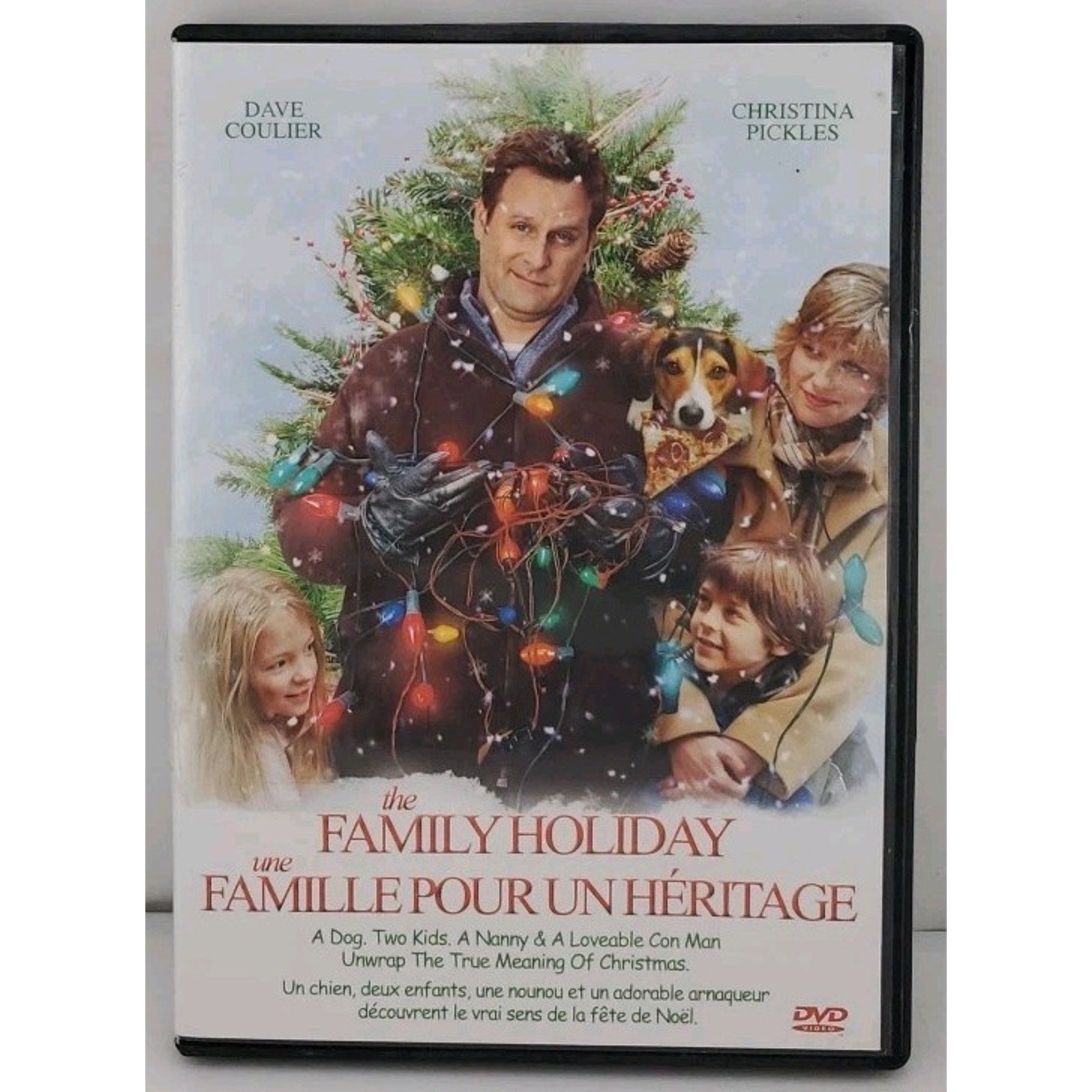 The Family Holiday (DVD, 2007)