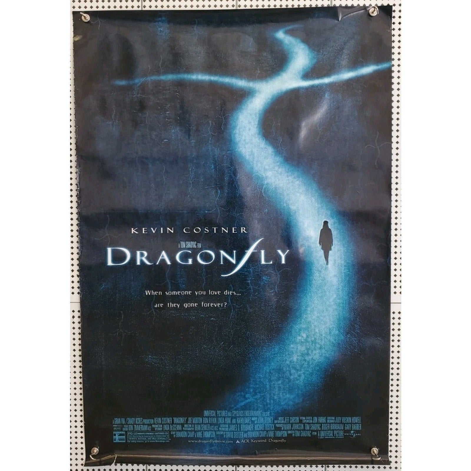 Dragonfly Original Theatrical DS Movie Poster Rolled Kevin Costner 27x40