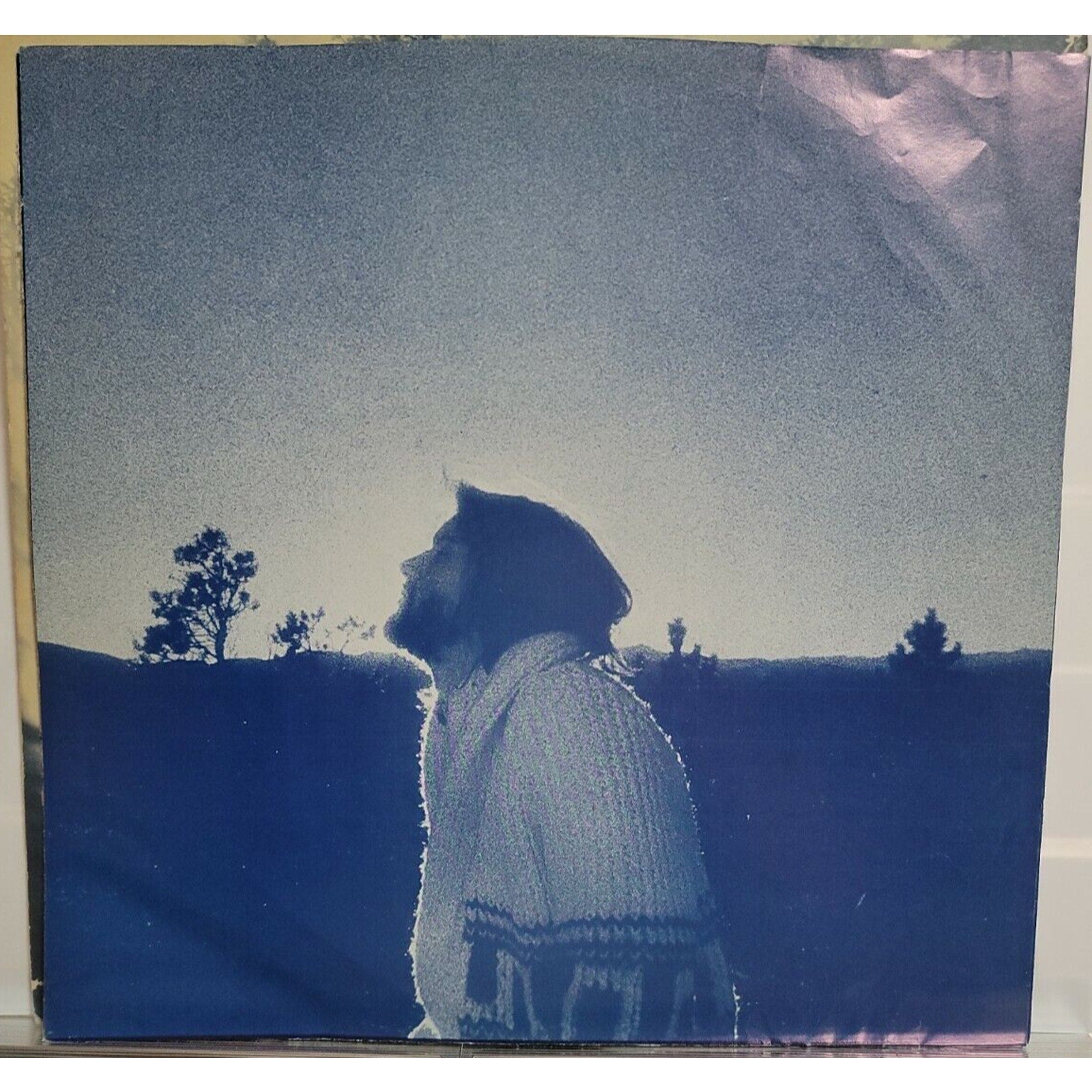 Nether Lands by Dan Fogelberg (Record,…