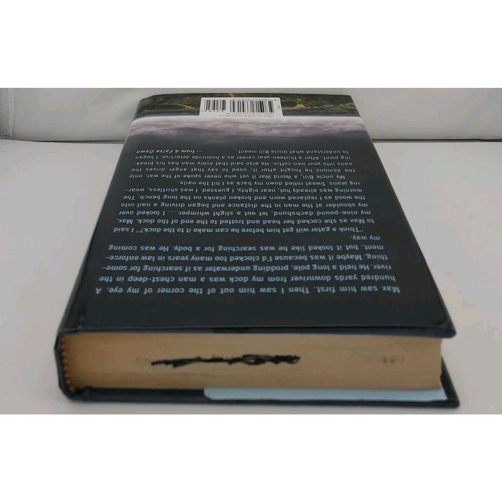 False Dawn by Tom Lowe (2009, Hardcover)
