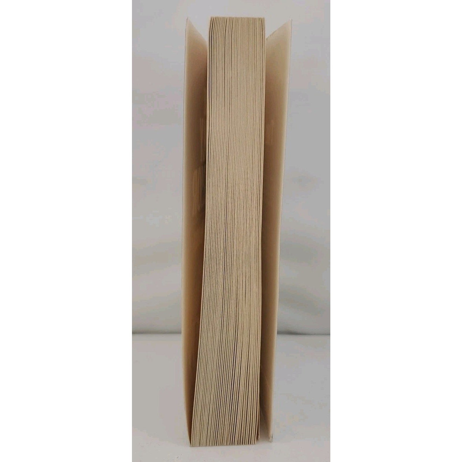The Holy Warrior Paperback Gilbert Morris (Paperback)