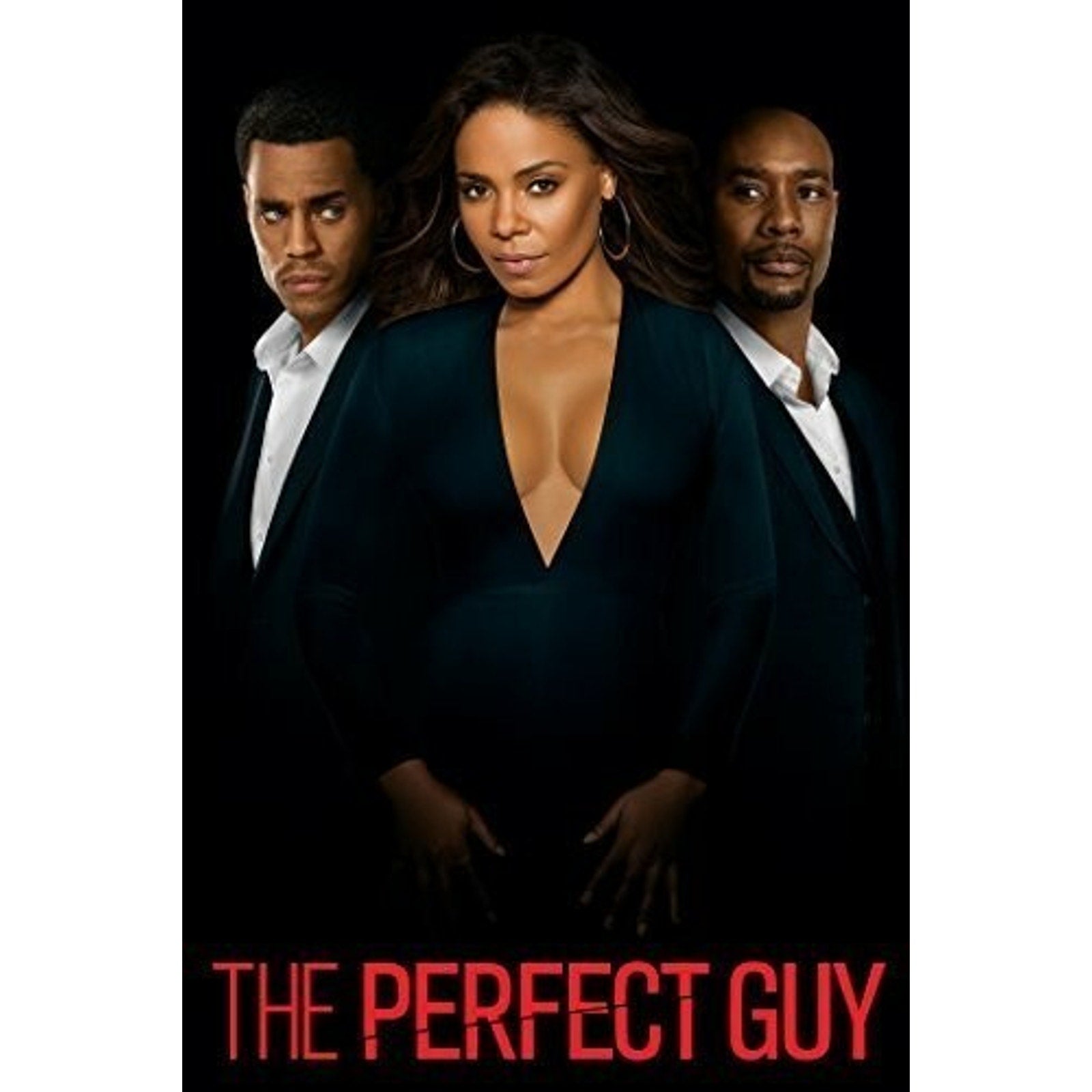 The Perfect Guy (DVD, 2015)