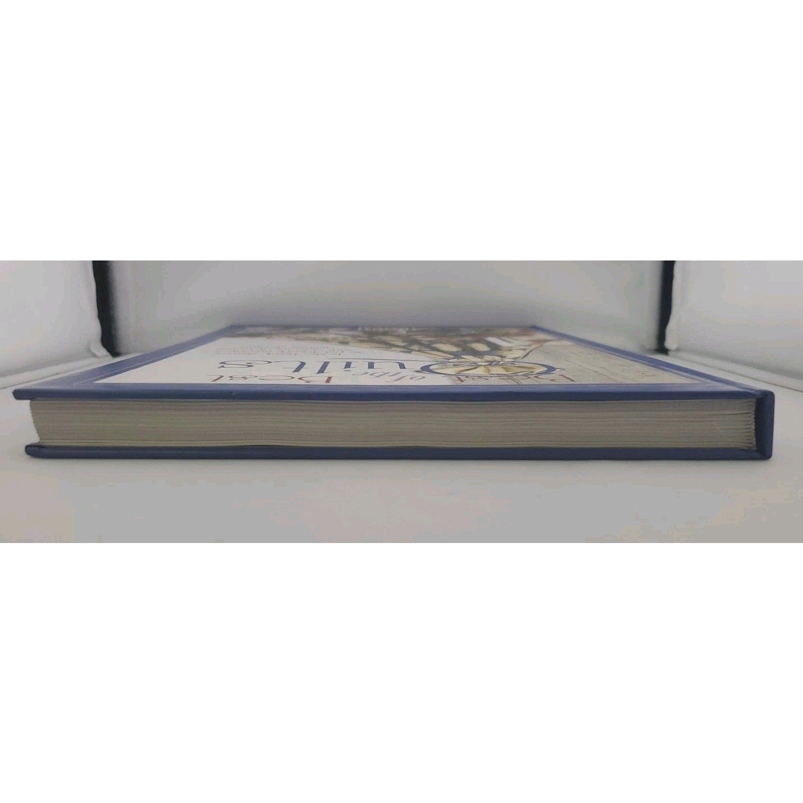 Leslie Beck's Best of the Best Quilts by Leslie Beck (2002, Hardcover)