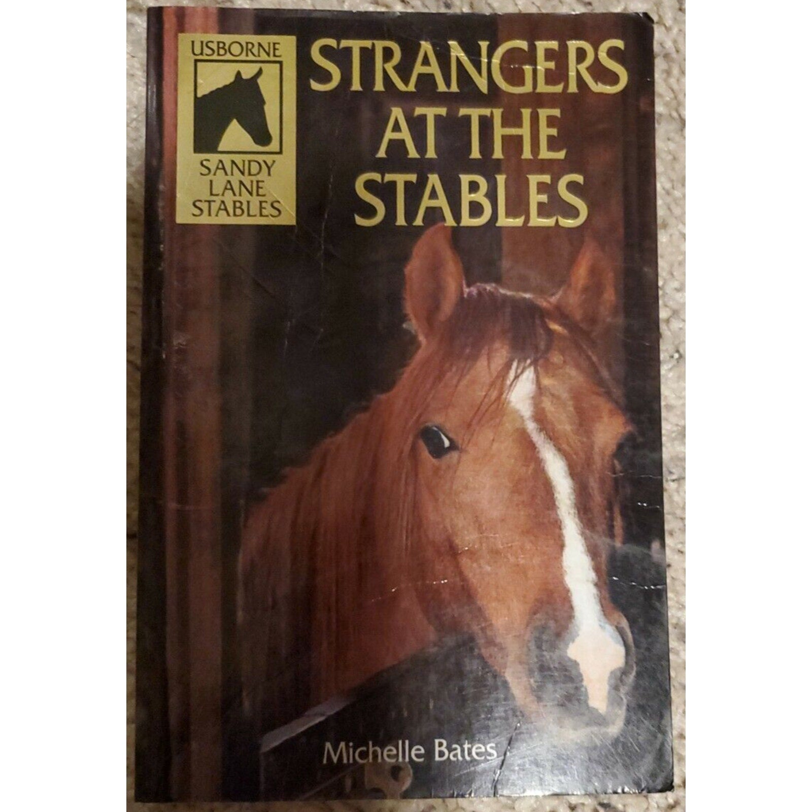 Sandy Lane Stables Ser.: Strangers at the Stables by Michelle Bates (1997, Trad…