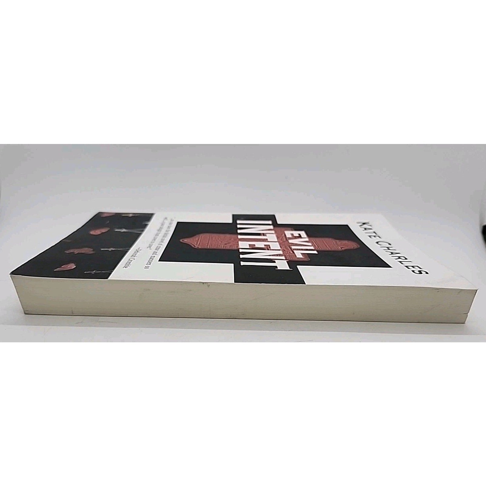 Evil Intent by Kate Charles (2010, Perfect)