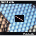White Ladder by David Gray (CD, Mar-2000, ATO (USA))