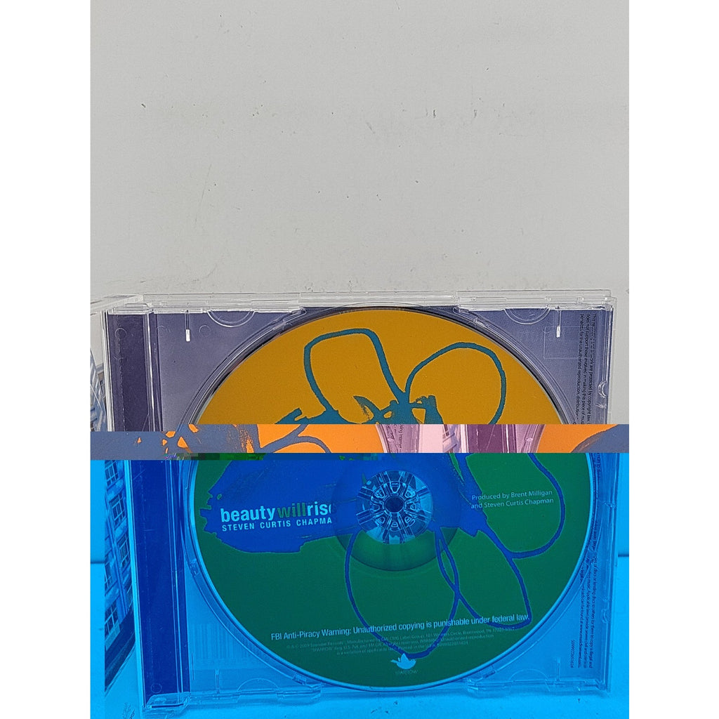 Beauty Will Rise by Steven Curtis Chapman (CD, 2009)