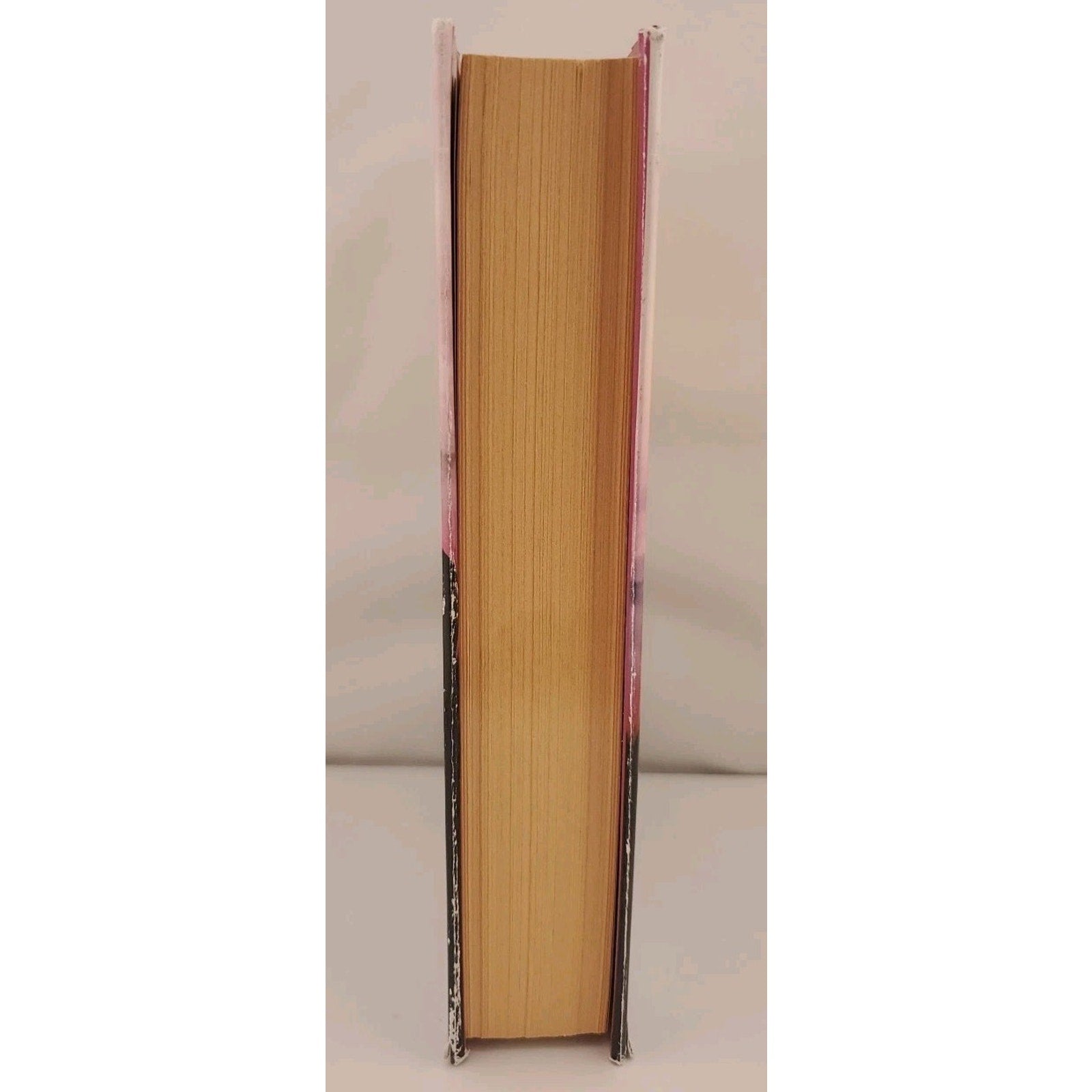 Into the Fire by Suzanne Brockmann (2008, Hardcover)