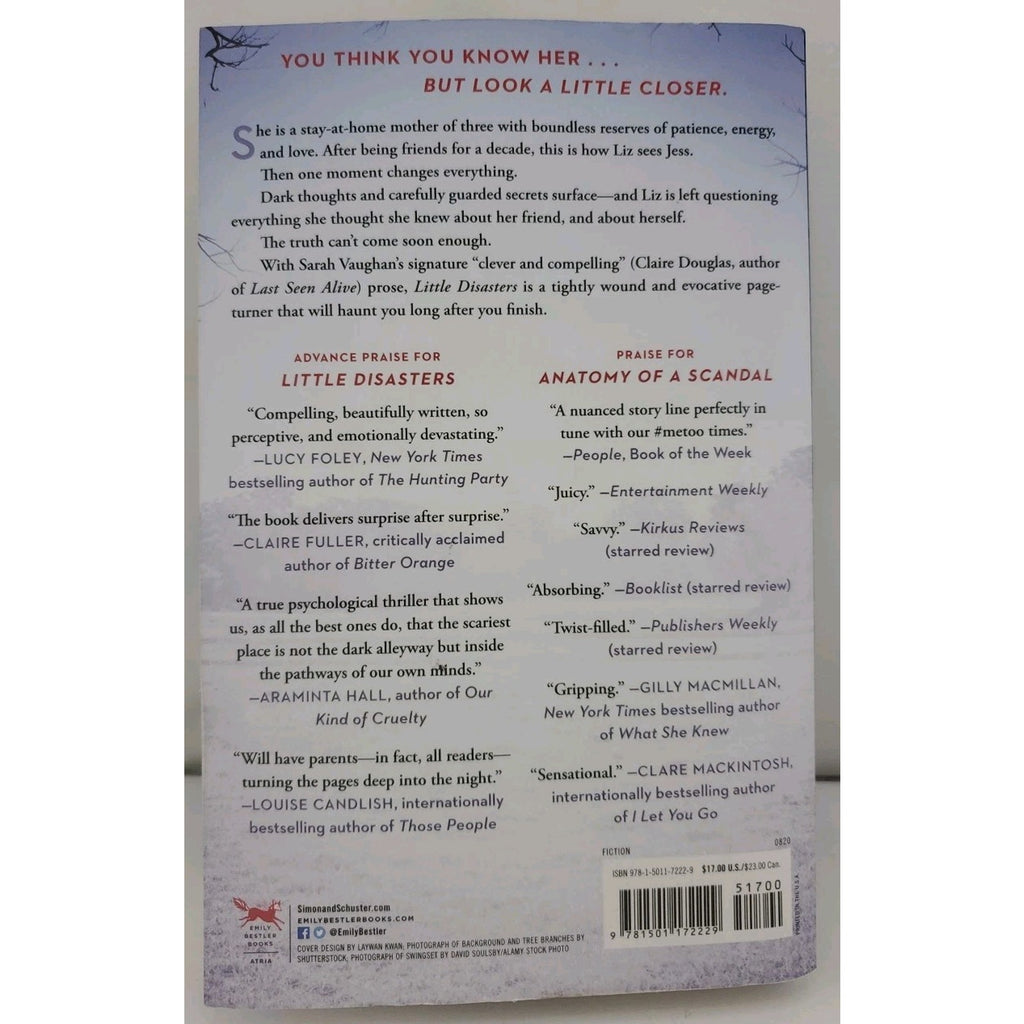 Little Disasters : A Novel by Sarah Vaughan (2020, Trade Paperback)