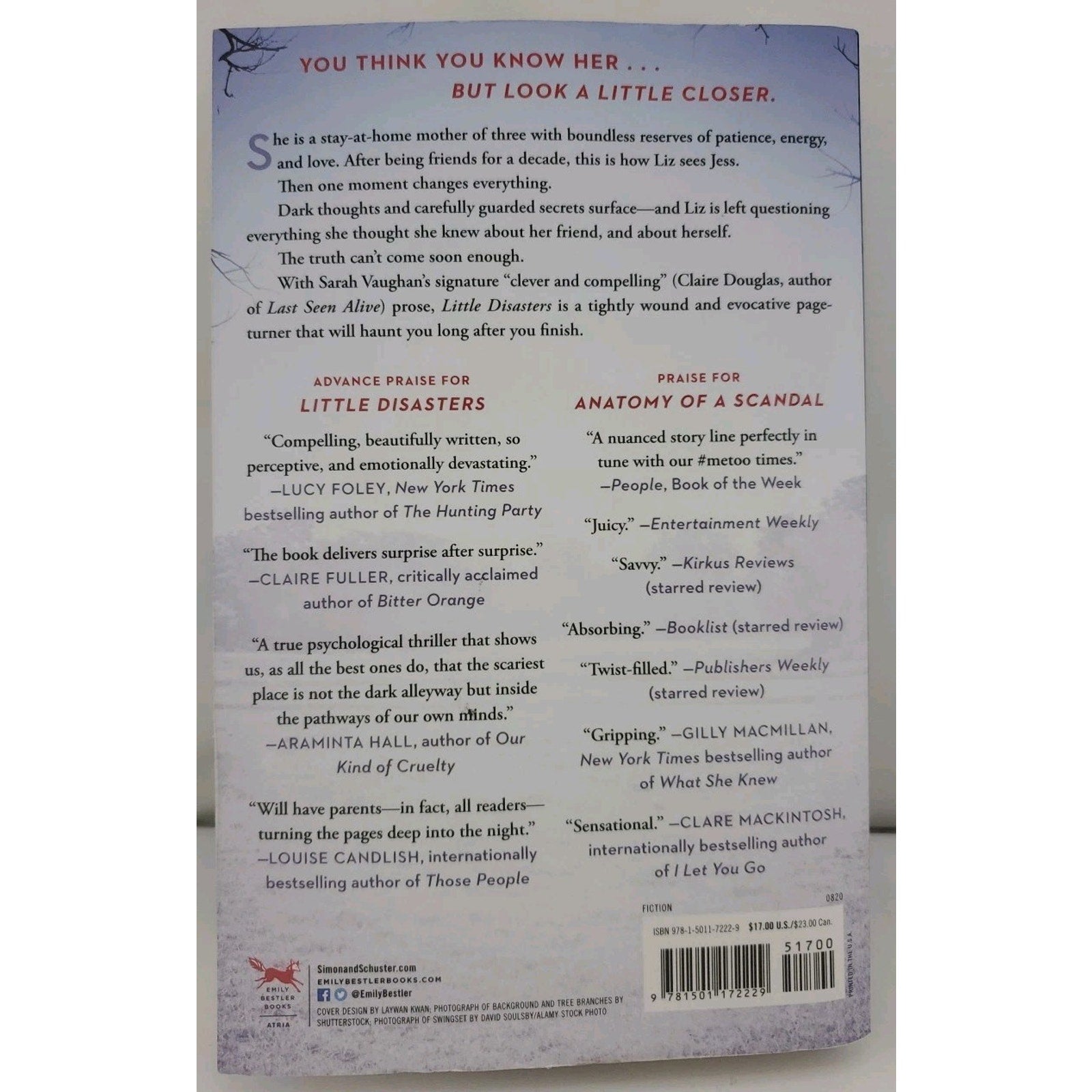 Little Disasters : A Novel by Sarah Vaughan (2020, Trade Paperback)