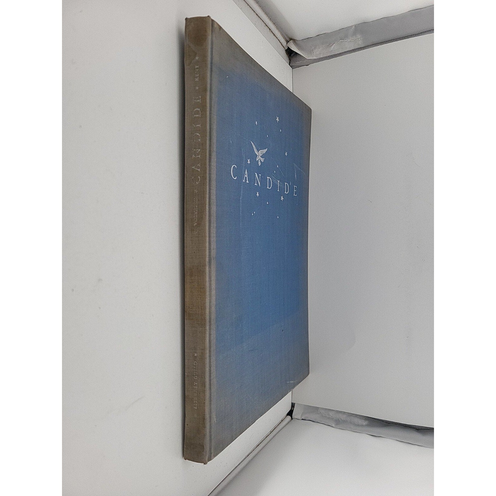 CANDIDE by Jean Francois Marie (Vintage 1929 HC Book) Illustrated Literary Guild