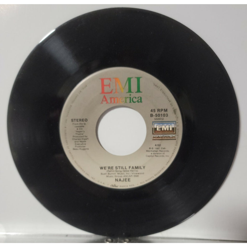 Najee - Mysterious / We're Still Family (Vinyl)