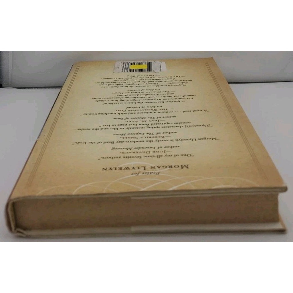 Brendan by Morgan Llywelyn (2010, Hardcover)