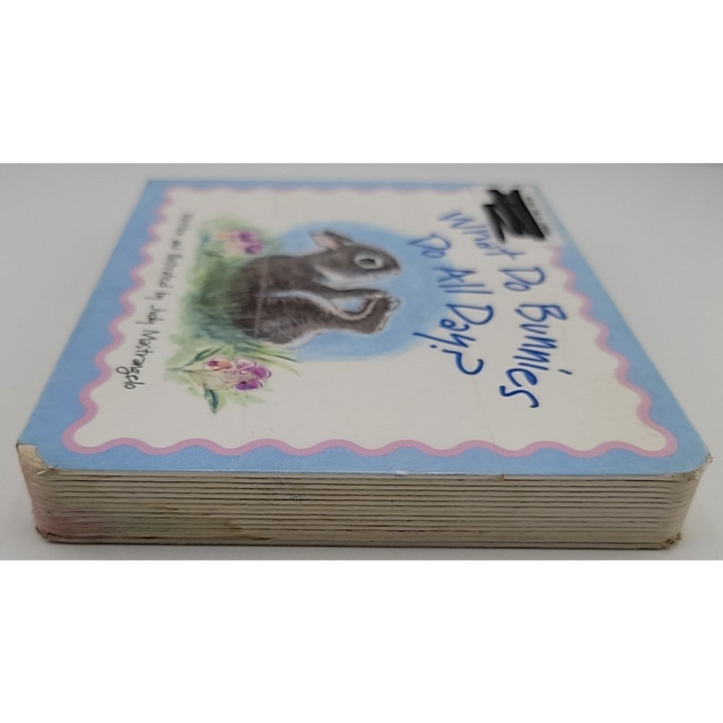 What Do Bunnies Do All Day by Judy Mastrangelo (2005, Children's Board Books)